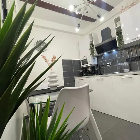 Guest house Spalatum New Chic & With Kitchen And Terrace - Centre