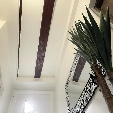 Spalatum New Chic & With Kitchen And Terrace - Centre Guest house *